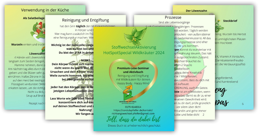 wildkraeuter-stoffwechsel-aktivierung-image