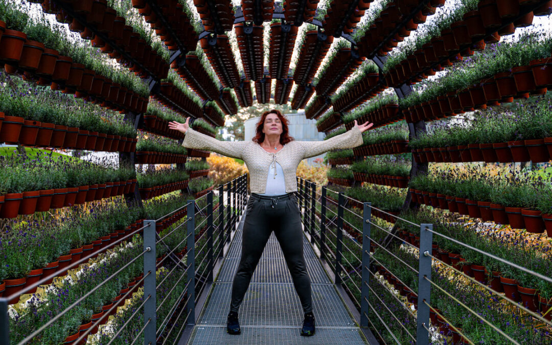 Zu viel. Zu laut. Zu schnell. Und trotzdem stark? So wandelst Du Stress in Resilienz